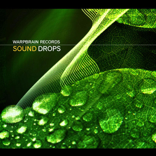 Lauge - Snowflake (Seamoon RMX) (Warp Brain Rec)