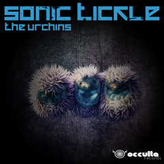 02 - Sonic Tickle - The Urchins (Occulta Rec)
