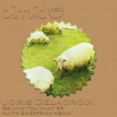 Joris Delacroix - Be Who You Want (Haito Goepfrich remix)