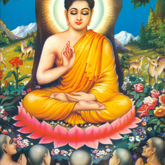 The Buddha Experience - Mandala - Shimaya