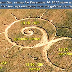 08 Beautiful Trees (2002)