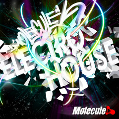 Electro House /House