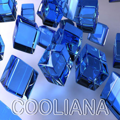 Mirko and Meex - Cooliana