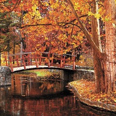 Titanic(Spacedrum drum and bass remix)