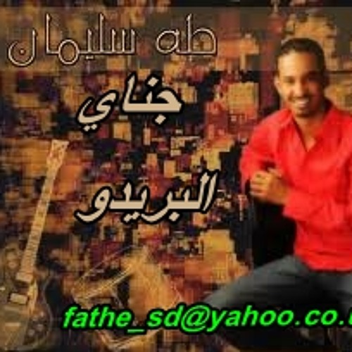 طــه ســليمان - جــناي البريدو - دلوكـــة -   fathe_sd@yahoo.co.uk
