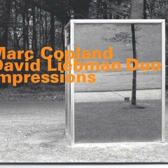 "WTC" / From "Impressions" / Marc Copland Dave Liebman Duo