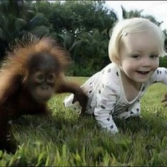 Abyss - Frazzle Dazzle Scratch Tool Vol. 1