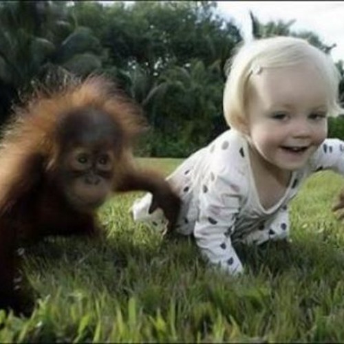 Abyss - Frazzle Dazzle Scratch Tool Vol. 1