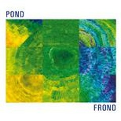 Pond - Torn Asunder