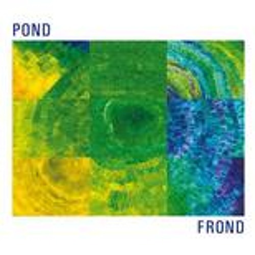 Pond - Torn Asunder