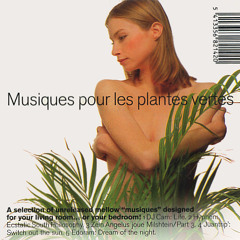 Laurent Garnier - Fleur de lotus