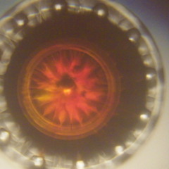 Supermarket Shuffle on Melted Ice