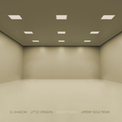 DJ SHADOW ft. LITTLE DRAGON - Scale It Back (Jeremy Sole Remix)