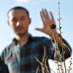 Кот Балу,Банума-весна