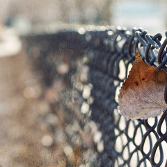 هدوء حياة -- بدر الحمودي