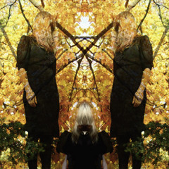 Austra 'Beat and the Pulse' (M. Shawn Crahan Motion Remix)