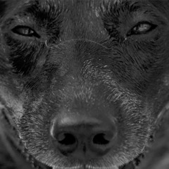 Who Could Ever Fall in Love?