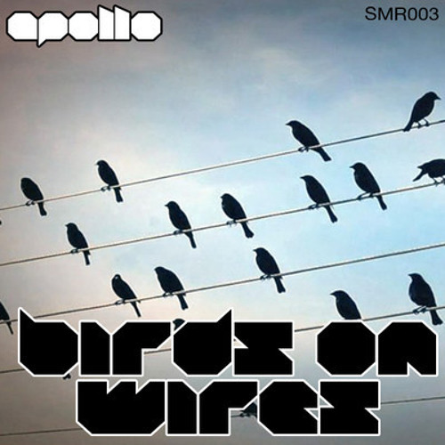 Apollo feat. Soulsa - Birds on Wires (zano bano Bootleg)