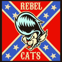Rebel Cats - Gato Rebelde