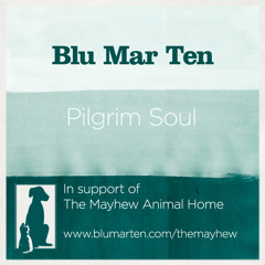 Blu Mar Ten - Pilgrim Soul (free track for charity - please read info)