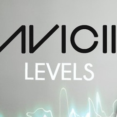 Avicii feat. Lil D - Levels Remix