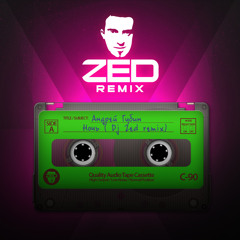 Андрей Губин - Ночь (DJ Zed Extended Remix)