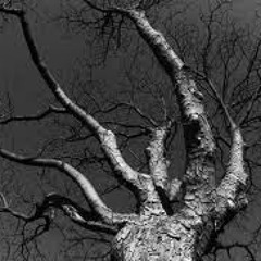 Bone tree