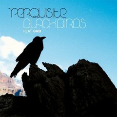 Perquisite - Blackbirds feat. GMB (Sotu the Traveller remix)