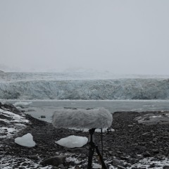 recording glacier across small fjord_snowing