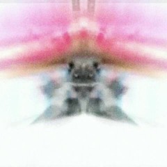 Message To Reily Pt.1 & 2