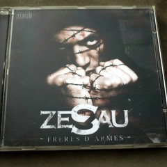 211-zesau-fuck you pay me feat le rat luciano