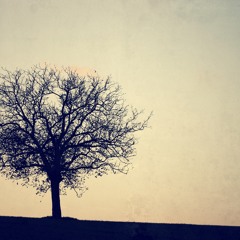 Week #11