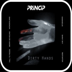 Princip - Merry-Go-Round