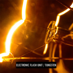 Electronic Flash Unit - Tungsten 130 W (single edit)