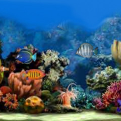 Aquarium