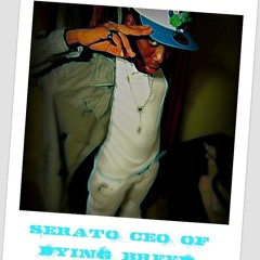 SERATO - CHERIO BABY (CRISSMUSS A COME RIDDIM)