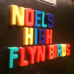(Stranded on) The wrong beach,  Noel Gallaghers High Flying Birds