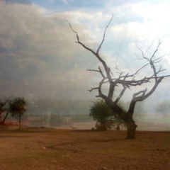 Tierra Erosionada  mp3