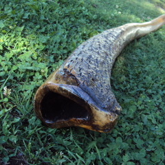 (1) Sound Sample - Didgeridoo de Alamo Blanco