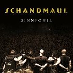 Schandmaul - Willst Du (LIVE - Sinnfonie Fan Edition)