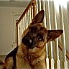 Europa (Santana cover - acoustic instrumental)