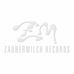 Rauschhaus - Lovin You (Original Mix)