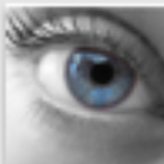 RePheel_v044 WIPBNC_It's in your eyes_(C)(P)www.nad-audio.com