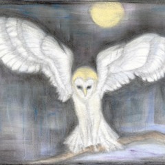 White Owl's & Mooncoin Jig (Jutta Roos bouzouki-solo, bass)