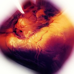 Contract In The Sand