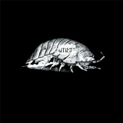 Late - Losing You