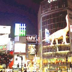 Shibuya - Brian Reitzell & Roger J. Manning Jr. (Lost In Translation)