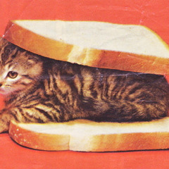 Im A Fucking Hipster