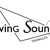 Artwork for Living colour   DJ Noexii(Original mix)