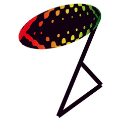 On Your Mind - Don Ricardo